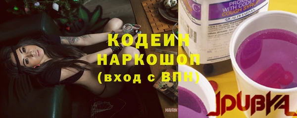 ПСИЛОЦИБИНОВЫЕ ГРИБЫ Верея