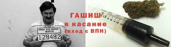 ПСИЛОЦИБИНОВЫЕ ГРИБЫ Верея