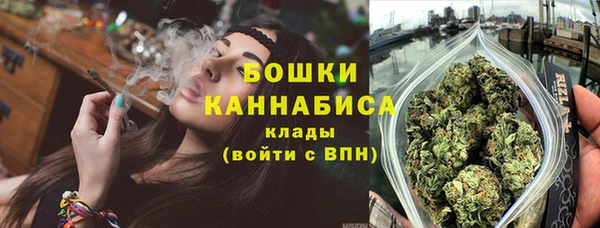 ПСИЛОЦИБИНОВЫЕ ГРИБЫ Верея