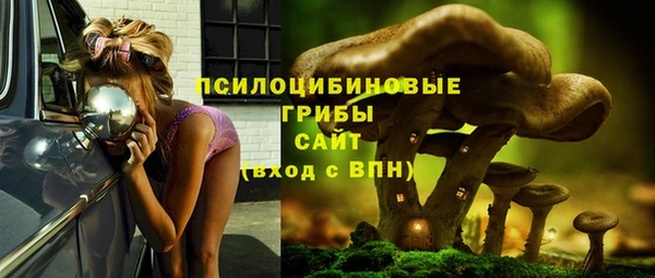 прущие крисы Верхний Тагил
