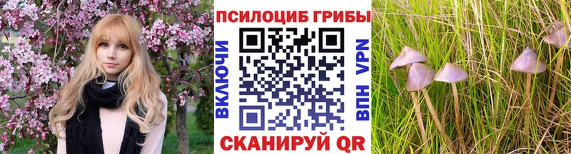 kraken ТОР  Гороховец  Галлюциногенные грибы мухоморы 